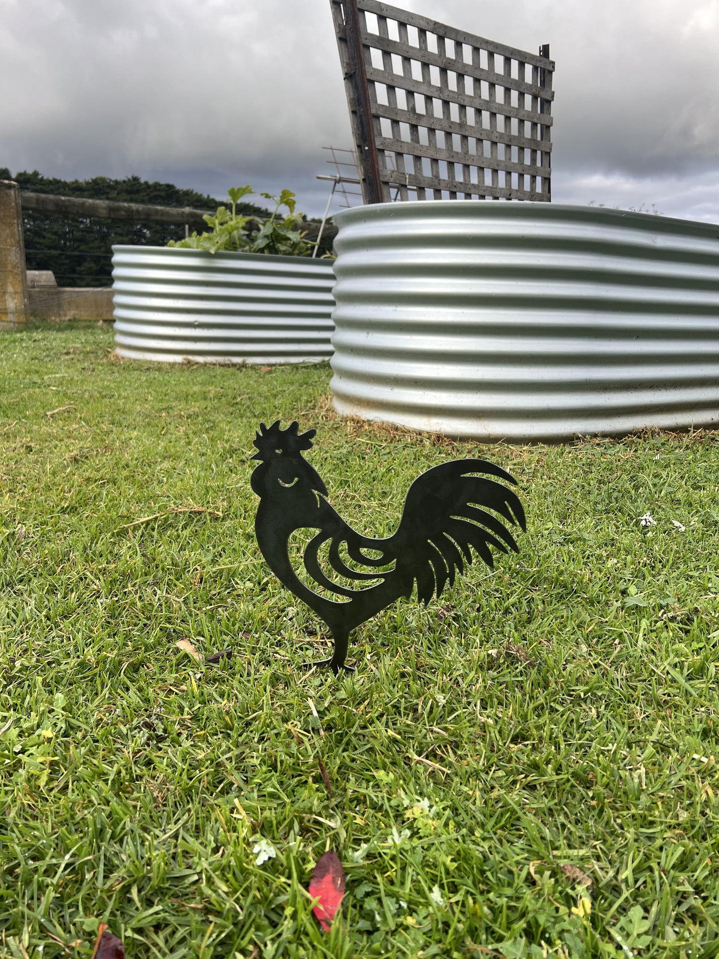Rooster Garden Stake