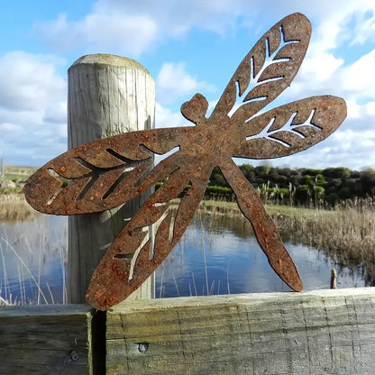 Dragonfly Décor