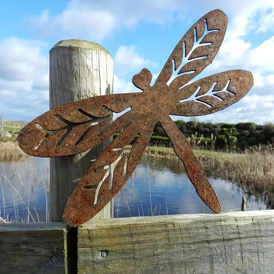 Dragonfly Décor